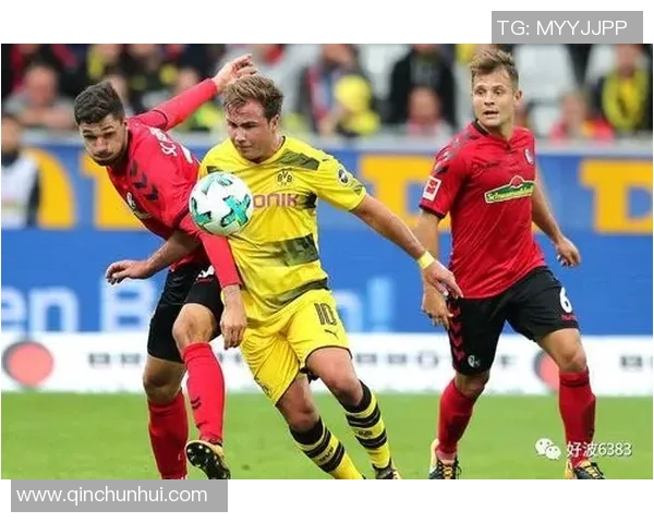 中日德兰主场迎战格丁尼力争全取三分展现实力